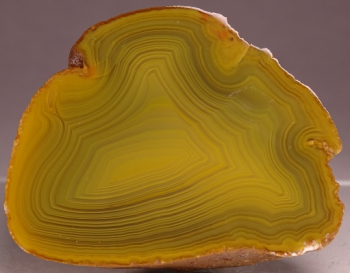 Agate Creek Agate from Etheridge Shire, Queensland, Australia [db_pics/pics/b_DSC05949.jpg]