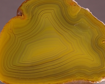 Agate Creek Agate from Etheridge Shire, Queensland, Australia [db_pics/pics/b_DSC05950.jpg]