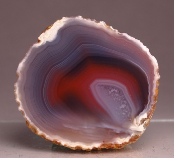 Agate Creek Agate from Etheridge Shire, Queensland, Australia [db_pics/pics/b_DSC05956.jpg]