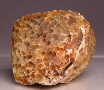 Agate Creek Agate from Etheridge Shire, Queensland, Australia [db_pics/pics/b_DSC05959.jpg]