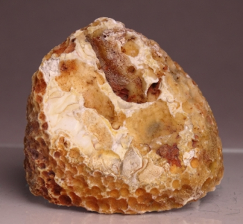 Agate Creek Agate from Etheridge Shire, Queensland, Australia [db_pics/pics/b_DSC05960.jpg]