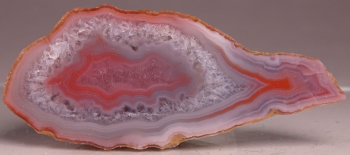 Agate Creek Agate from Etheridge Shire, Queensland, Australia [db_pics/pics/b_DSC05962.jpg]