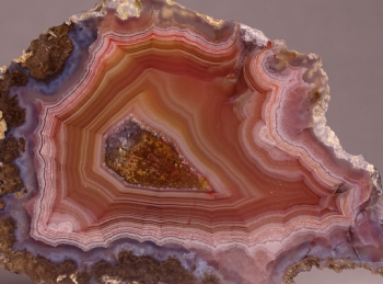 Laguna Agate Slice from Rancho Ojo Laguna, Chihuahua, Mexico [db_pics/pics/b_DSC06009.jpg]