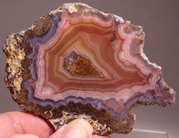 Laguna Agate Slice from Rancho Ojo Laguna, Chihuahua, Mexico [db_pics/pics/b_DSC06011.jpg]