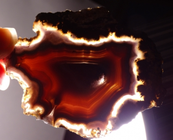 Laguna Agate Slice from Rancho Ojo Laguna, Chihuahua, Mexico [db_pics/pics/b_DSC06013.jpg]