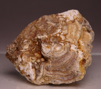 Ocho Agate (Oco) from Tres Pinheiros, Rio Grande do Sul, Brazil [db_pics/pics/b_DSC06037.jpg]