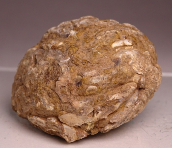 Ocho Agate (Oco) from Tres Pinheiros, Rio Grande do Sul, Brazil [db_pics/pics/b_DSC06043.jpg]