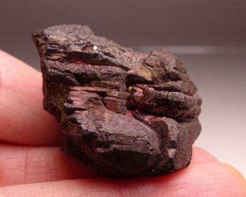 Chalcocite from Flambeau Mine, Ladysmith, Rusk County, Wisconsin [db_pics/pics/batch_300DSC02450.jpg]