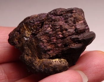 Chalcocite from Flambeau Mine, Ladysmith, Rusk County, Wisconsin [db_pics/pics/batch_300DSC02453.jpg]